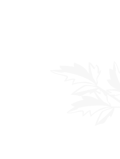 世界杯下注网站